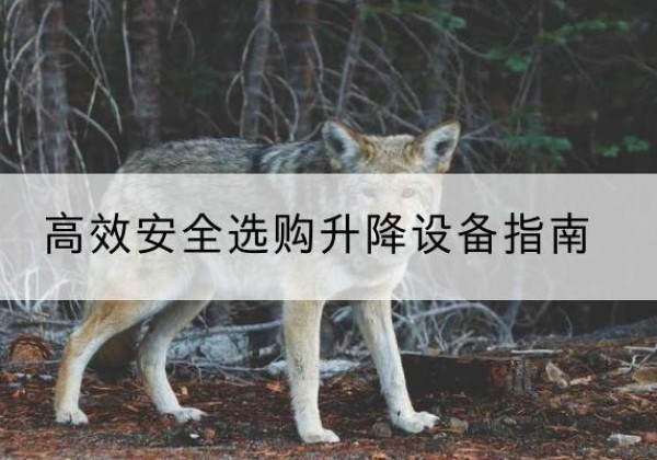 安次升降货梯厂家推荐-*安全选购升降设备指南