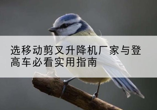 安次电动升降机厂家-选移动剪叉升降机厂家与登高车必看实用指南
