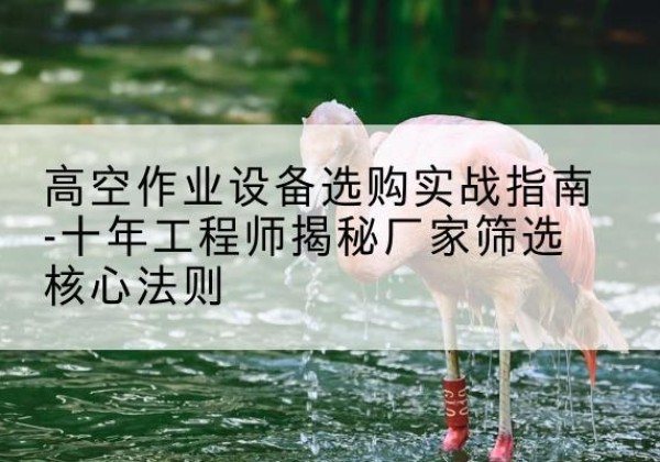 安次剪叉式升降机厂家-高空作业设备选购实战指南-十年工程师揭秘厂家筛选核心法则